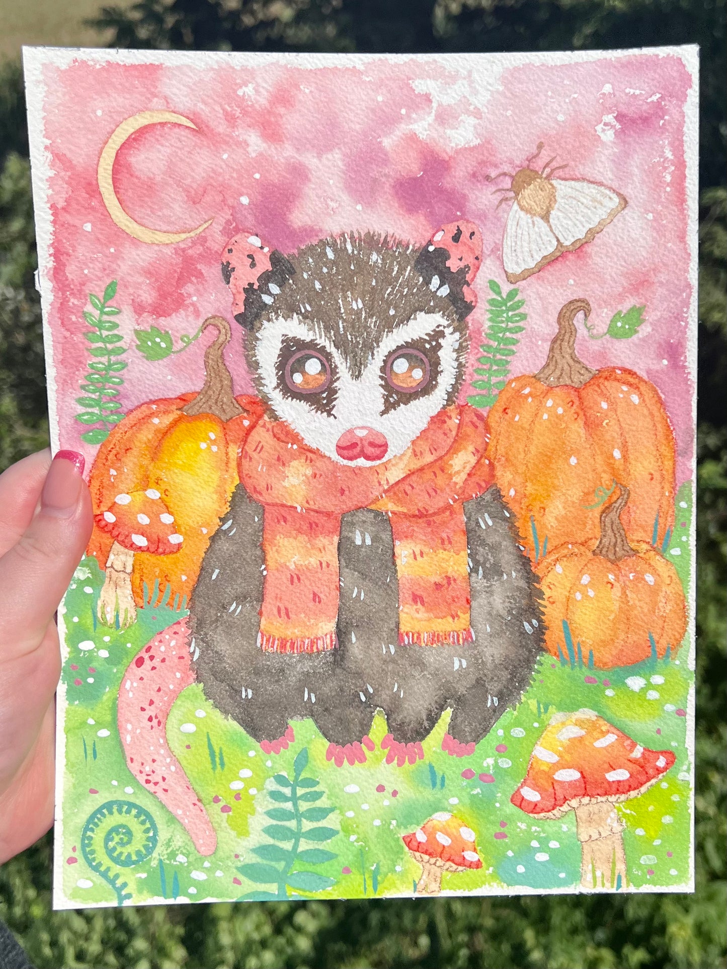 Fall Possum Painting